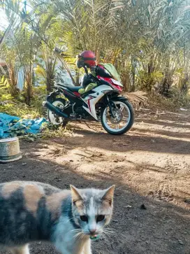 YAMAHA MX KING 2025