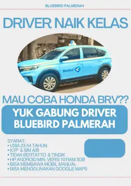 Driver bluebird palmerah