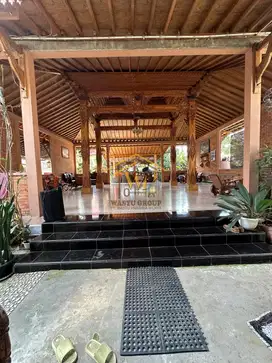 RUMAH JOGLO TANAH LUAS DI PAKEM SLEMAN, AKSES MUDAH TEPI JALAN