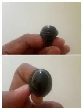 cincin batu fosil kayu Ulin