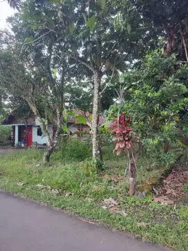 D i jual tanah pekarangan luas 373m² Lokasi strategis dekat Rakit City