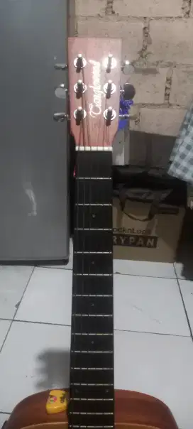 Gitar akustik tanggelwood dan Gitar cord