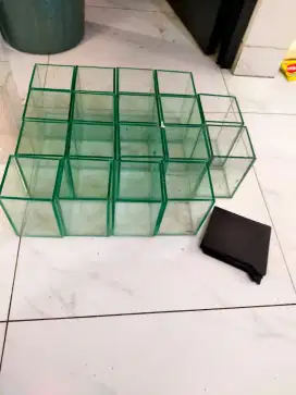 Aquarium cupang akuarium cupang