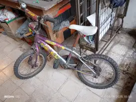 Sepeda anak merk polygon