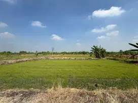 TANAH SAWAH DEKAT PERUMAHAN TAMAN GADING MENGANTI