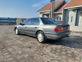 ACCORD MAESTRO 91 MT