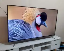 TCL Android TV  Dolby 4K 50 inch