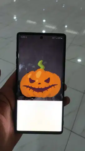 Samsung note 10 plus
