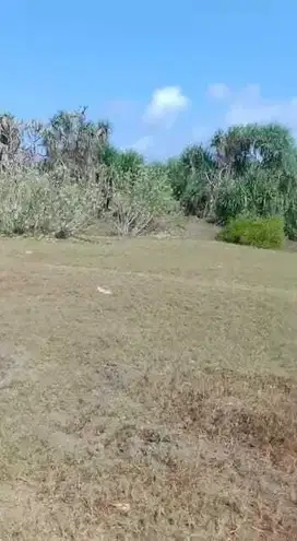 DIJUAL TANAH MURAH LOSH PANTAI DI BALI