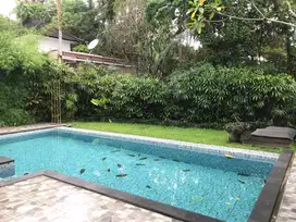 DIJUAL VILLA MINIMALIS MODERN DI MAS UBUD BALI