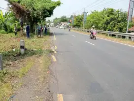 Jual murah tanah nempel Jalan Raya 1900m² hanya 1,5jt/m² Kendal