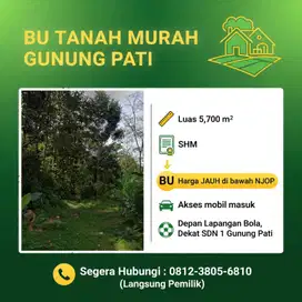 Dijual Cepat Tanah Strategis di Gunung Pati – Desa Nglarang