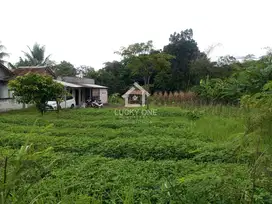 DIJUAL TANAH / LAHAN KOSONG – TENJO, JAWA BARAT