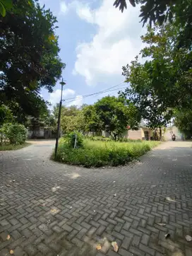 8 Menit Dekat UGM, Dijual Tanah Jogja HOOK