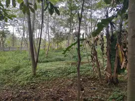 DIJUAL TANAH DI KLAPANUNGGAL KAB. BOGOR