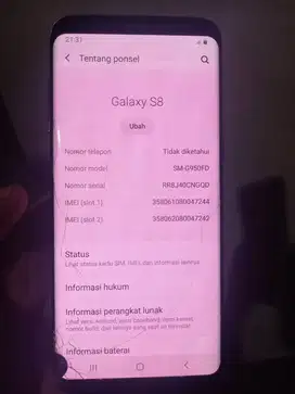 Samsung galaxg s8