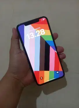 iPhone 11 promax 256gb LL/A