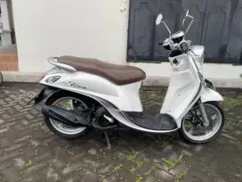 FINO premium (2022)