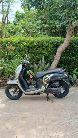 Ready Dp 500rb New Scoopy Sporty th 2023