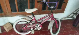 Sepeda merk Family