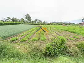 Dijual Tanah Kosong Jalan Merdeka - Karo (Disekitar Hotel Sibayak)