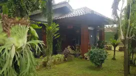 Murah! Jual Rumah rasa Villa luas di Cikeas Cibubur