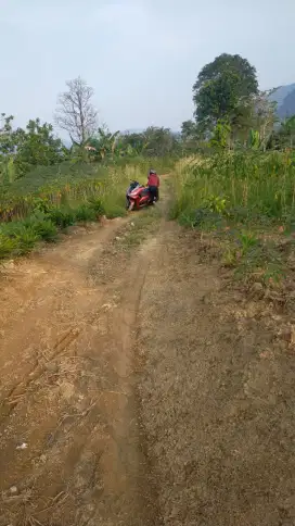 Jual tanah cepat lokasi bagus