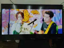 TV POLYTRON 40 INCH