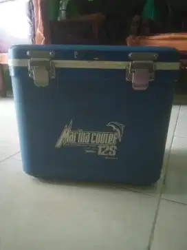 Cooler Box 12s 10 L