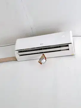 AC GREE 1 1/2 PK NO MINUS DINGIN