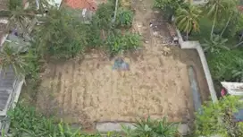 Dijual Tanah Murah di Desa Dangdeur, Jayanti, Tangerang - Banten.