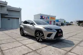 2018 Lexus NX300 NX 300 F Sport Facelift tdp 10JT