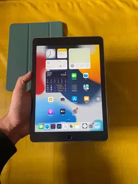 Ipad Air 2 32GB Wifi