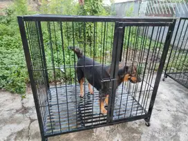 Kandang anjing ras besar