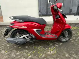 STYLO CBS (2024)