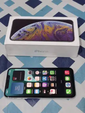 Iphone XS Max 64gb LL/A