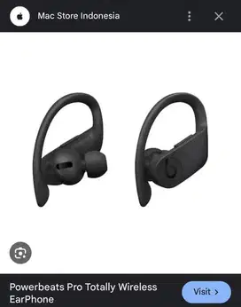 Powerbeats Pro Wireless Earphone