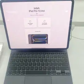 iPad pro 13 inc 256 GB