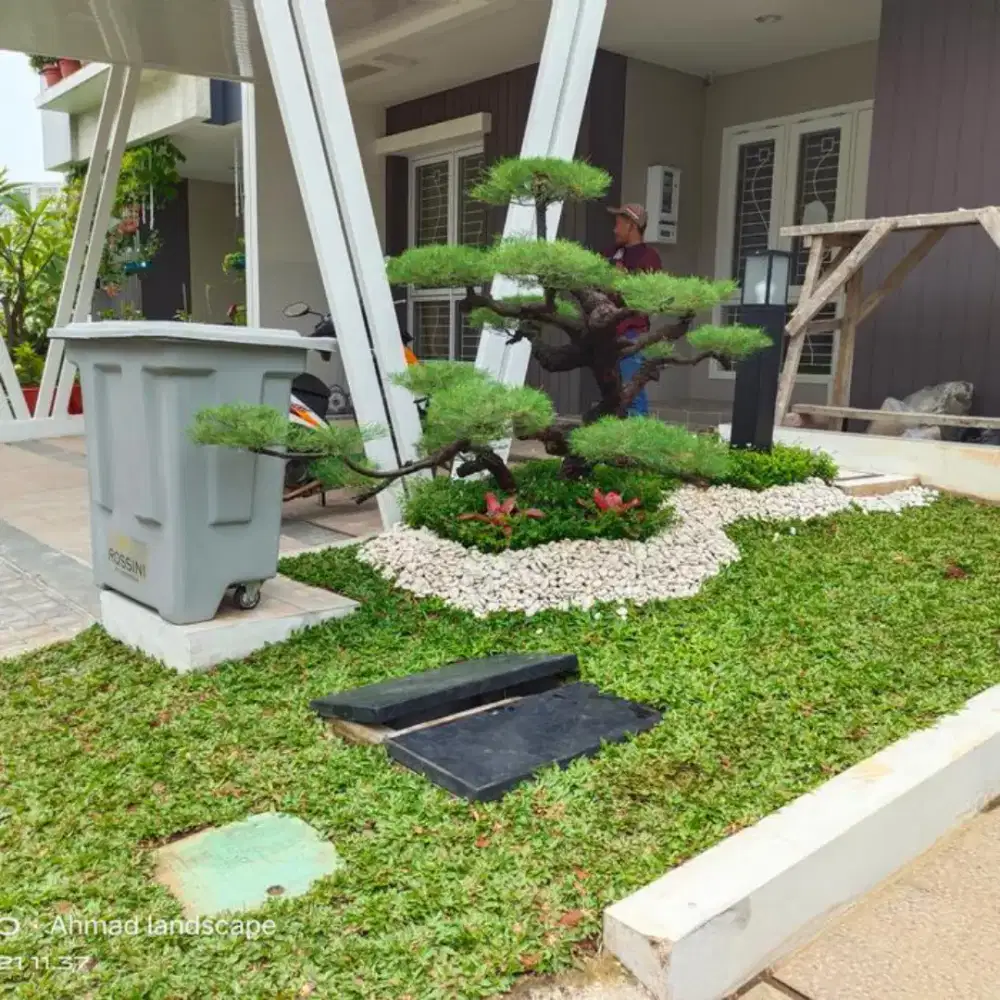 pembuatan taman halaman kecil