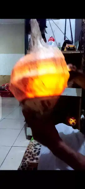 Barang antik fosil