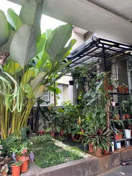Rumah 2 Lantai dalam Cluster Cendana Residence, Ciputat Pamulang