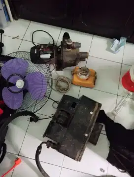 Jual semuanya sesuai foto ada yg mati ada yg hidup