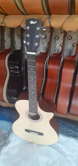 Gitar Akustik cort