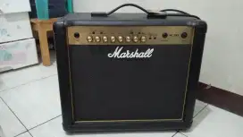 Amplifier bass marshall