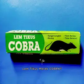 Lem Tikus Merek COBRA Paling Lengket