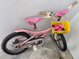 Dijual sepeda anak perempuan bekas