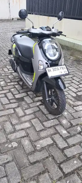HONDA NEW SCOOPY THN 2024