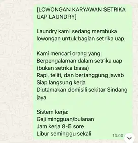 Setrika uap + packing
