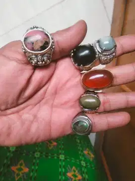 Dirad semuanya borong harga murah