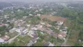Kebun Jati di Kota Semarang